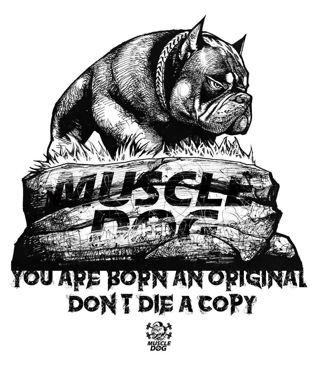 MuscleDog USA brand imagery