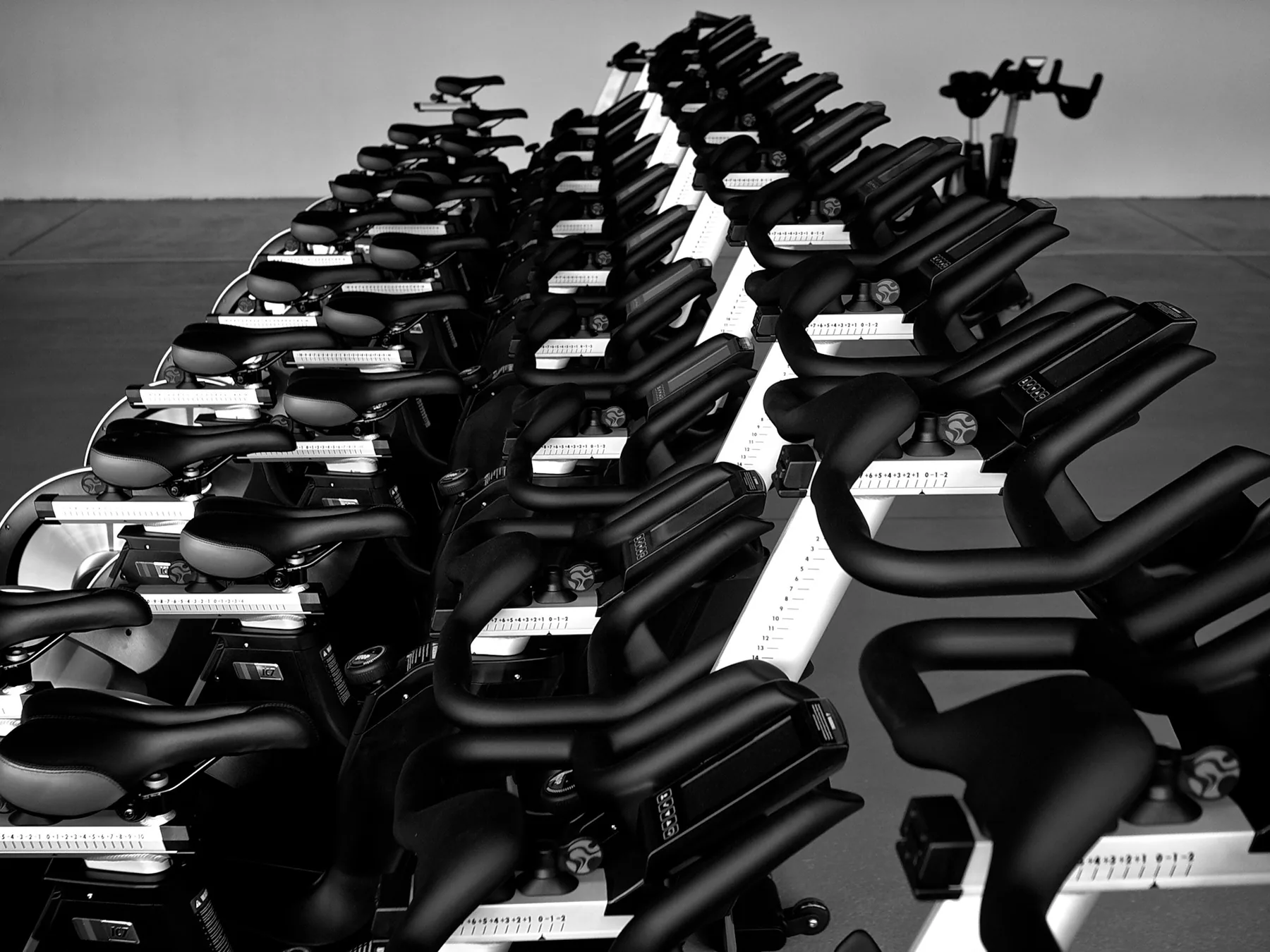 Rows of studio bike saddles photographed in black and white