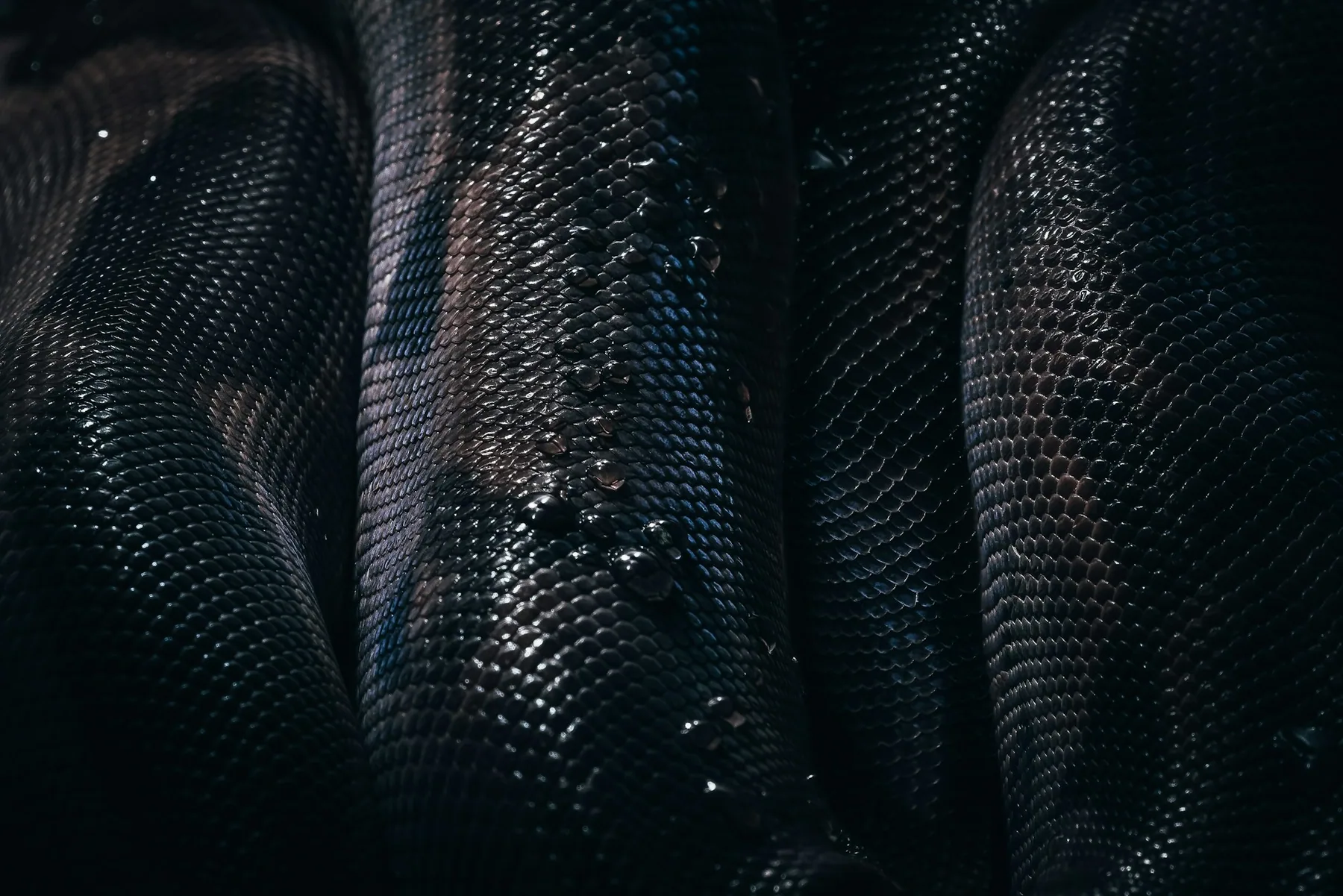 Macro detail of dark textured fabric with water droplets