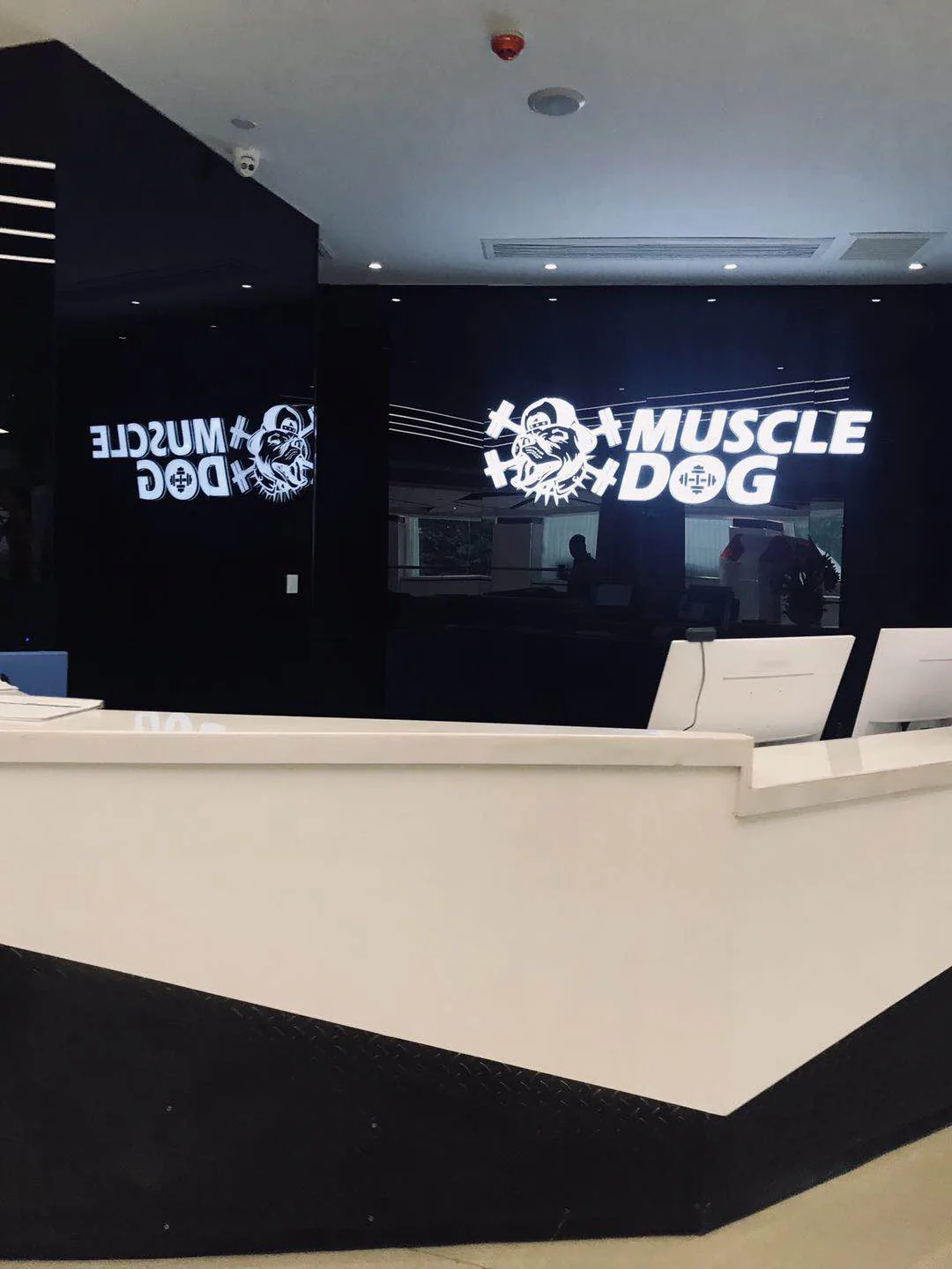 MuscleDog gym apparel lifestyle shot