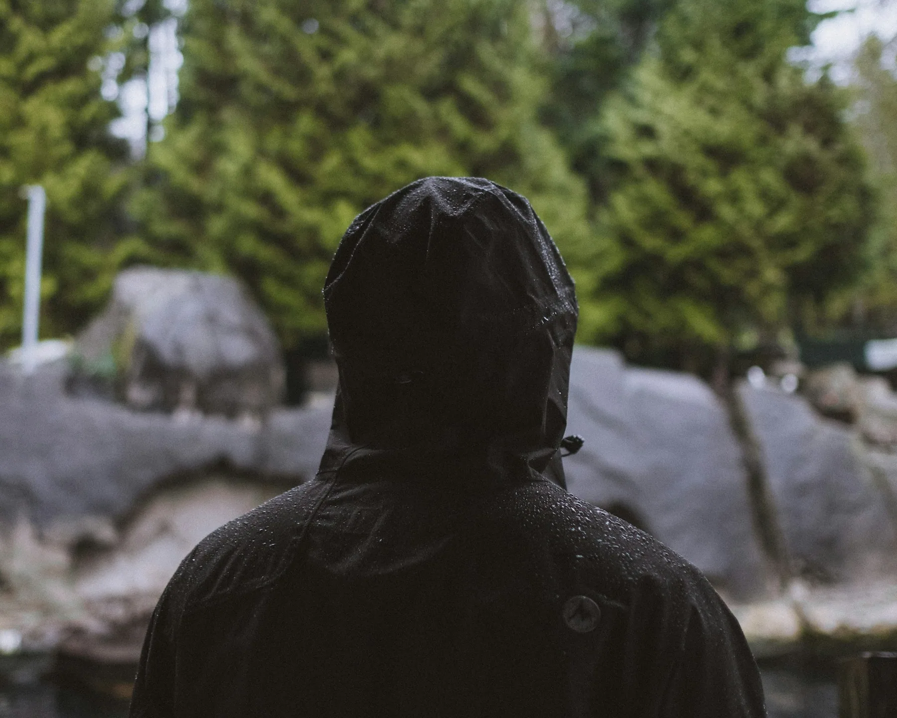 Someone in a dark hooded shell outdoors