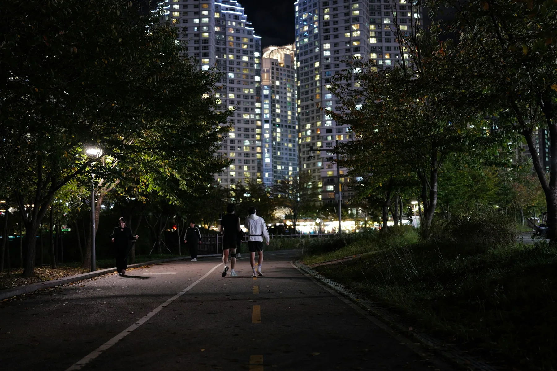 A dark park path lit by street lamps