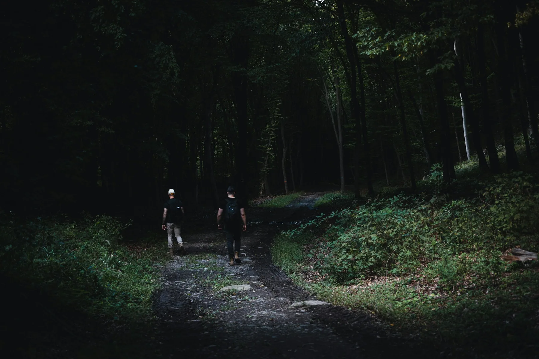 Two people walking a dark trail at dusk