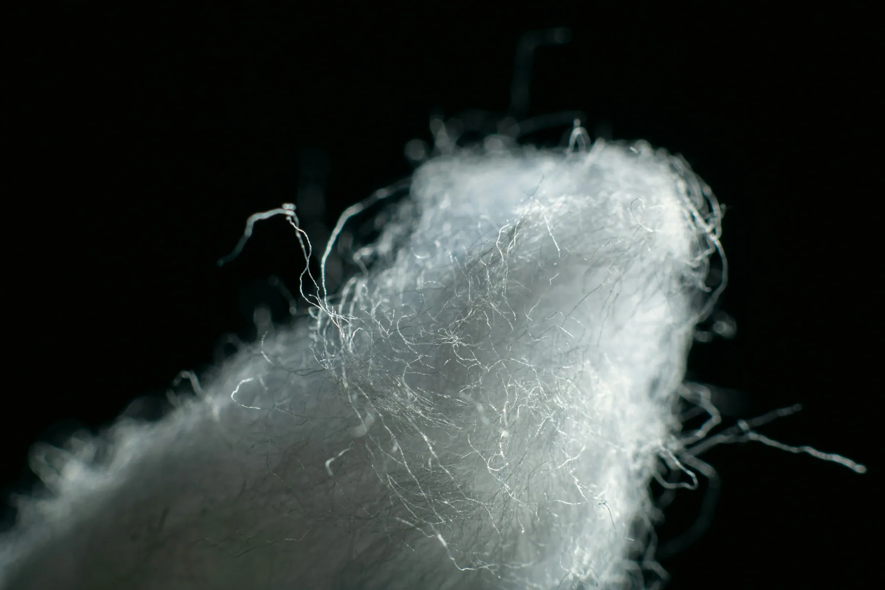 Raw cotton fibre photographed against a black background